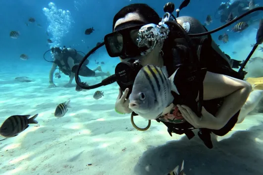 MINI CURSO DE BUCEO