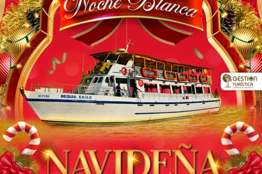 NOCHE BLANCA NAVIDEÑA